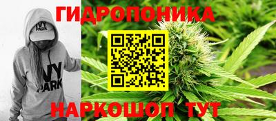 амф Дубна
